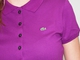 Camisa Polo Lacoste PF169E