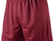 Shorts Nike Park 448224