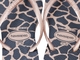 Havaianas Slim Animals Gold