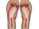 Chinelo Grendha Vitta 16489