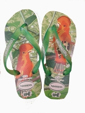 Havaianas Ipê 4000