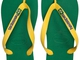 Havaianas Brasil Logo